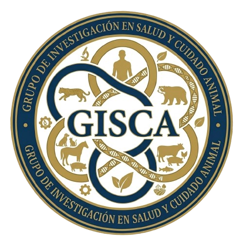 GRUPO DE INVESTIGACIÓN GISCA VISIÓN DE LAS AMÉRICAS